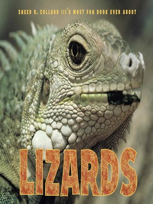 cover image of Sneed B. Collard III's Most Fun Book Ever About Lizards